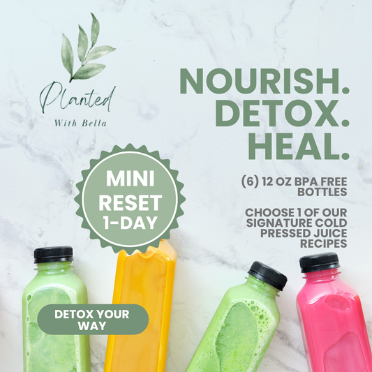 The Mini Reset (1 Day)