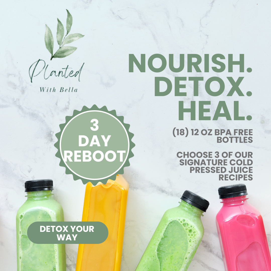 The 3 Day Reboot (3 Days)