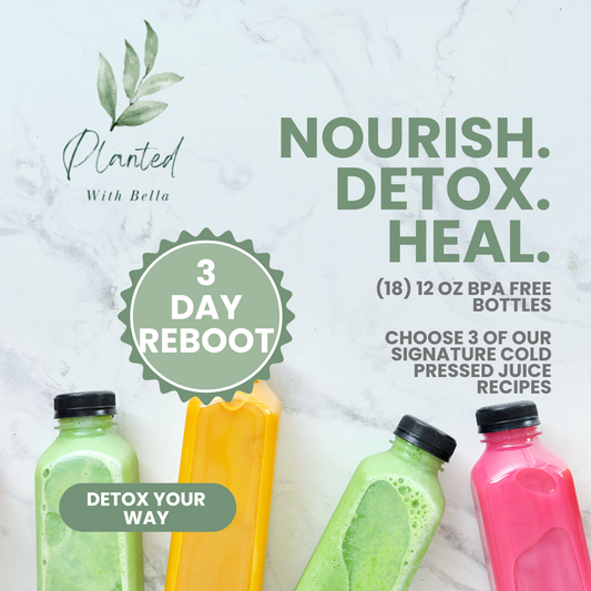 The 3 Day Reboot (3 Days)